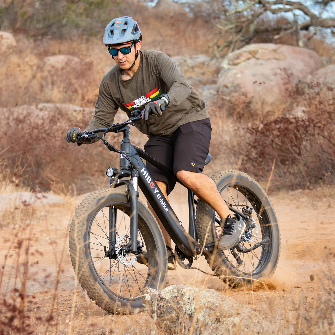 hiboy electric bike