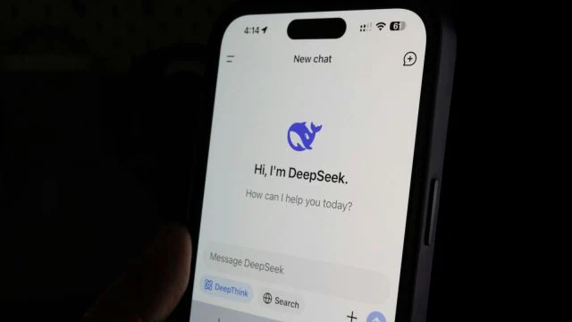 deepseek usage in india