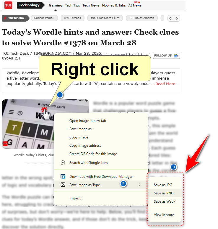 how to use SAVE IMAGE AS TYPE chrome extension