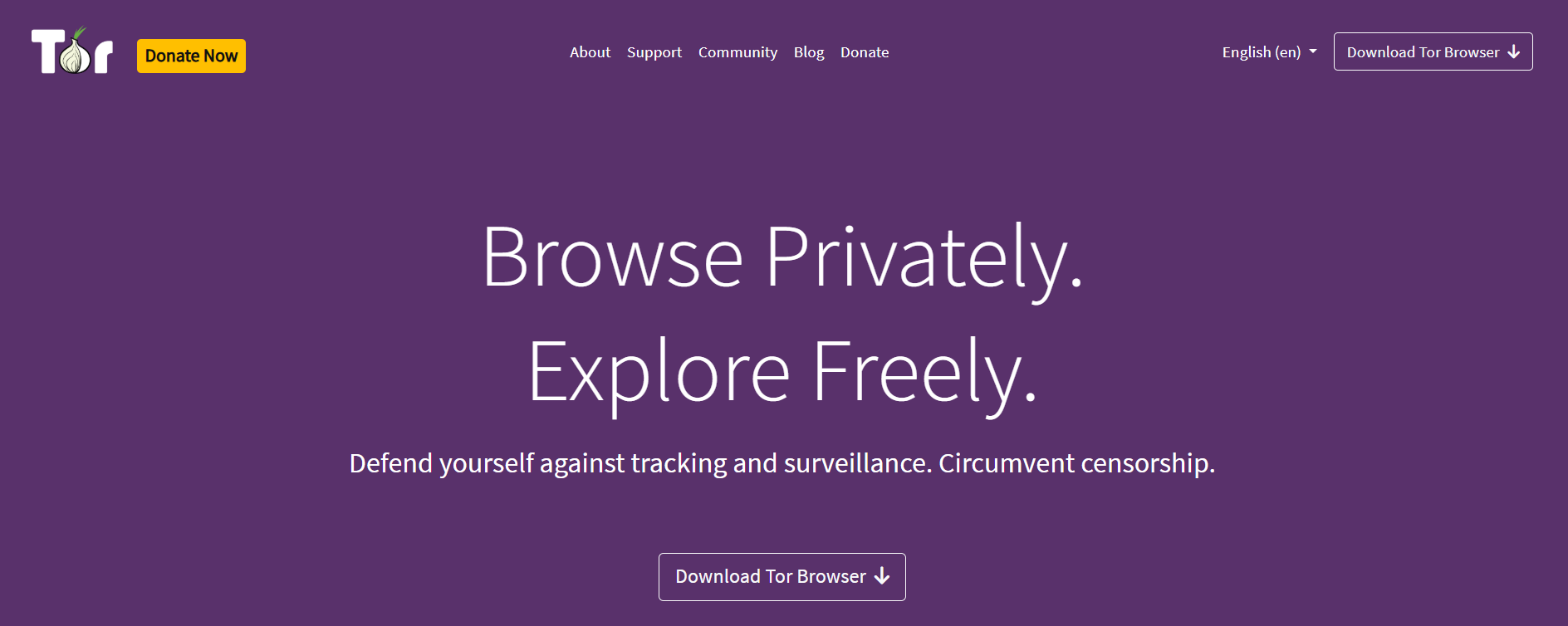 tor browser for windows 11