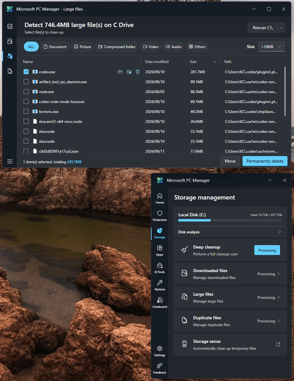 Microsoft PC Manager - Large files